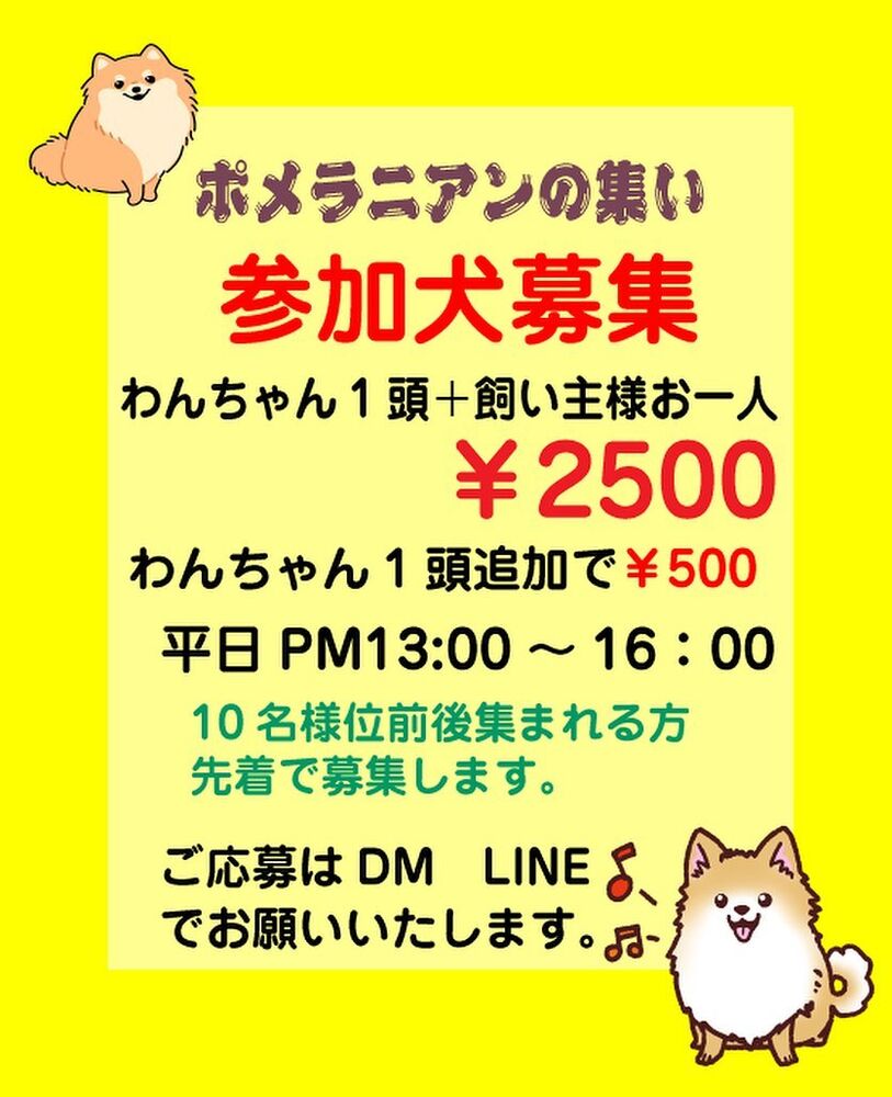 画像9966