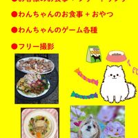 画像9967