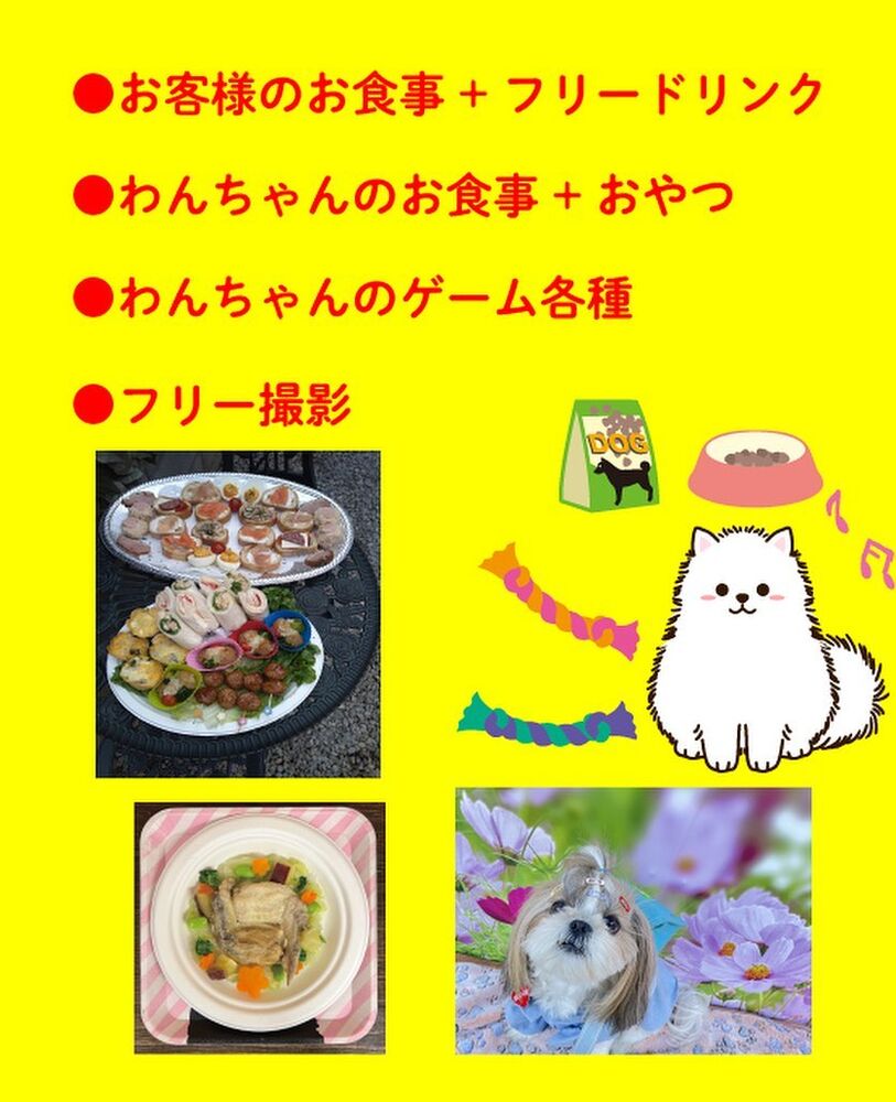 画像9967