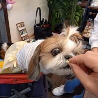 画像9977