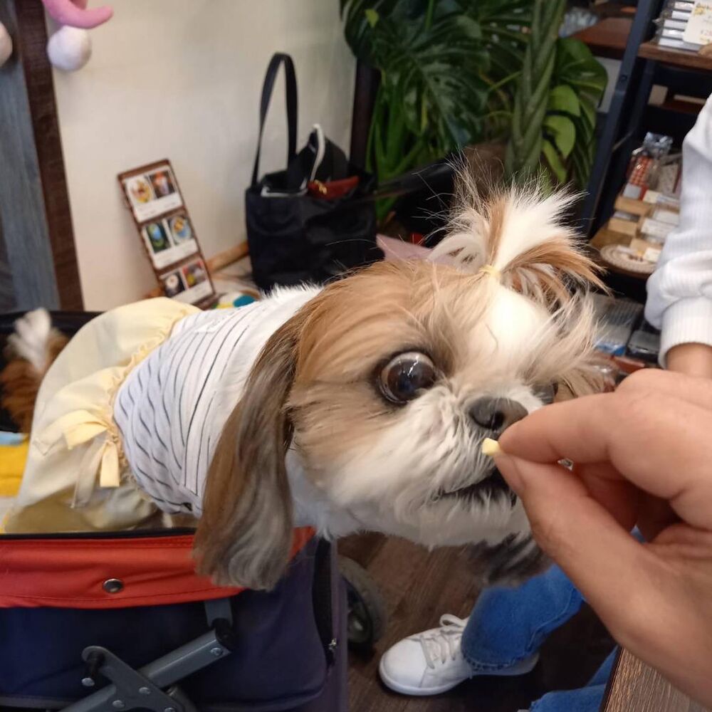 画像9977