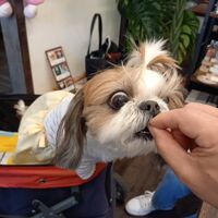 画像9978